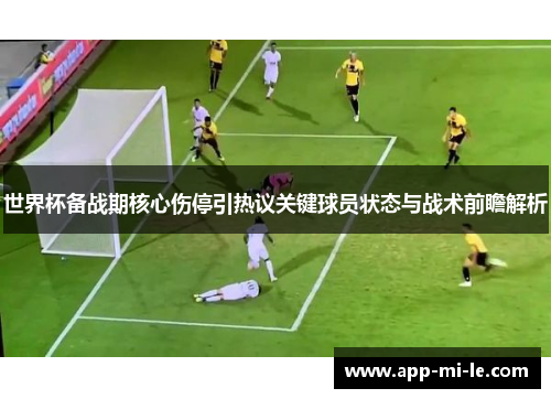 世界杯备战期核心伤停引热议关键球员状态与战术前瞻解析